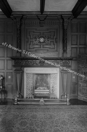 MALLOW CASTLE FIREPLACE IN ANTE ROOM